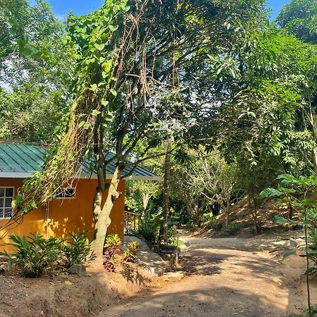 Hotel La Casablanca Tayrona Calabazo  المظهر الخارجي الصورة