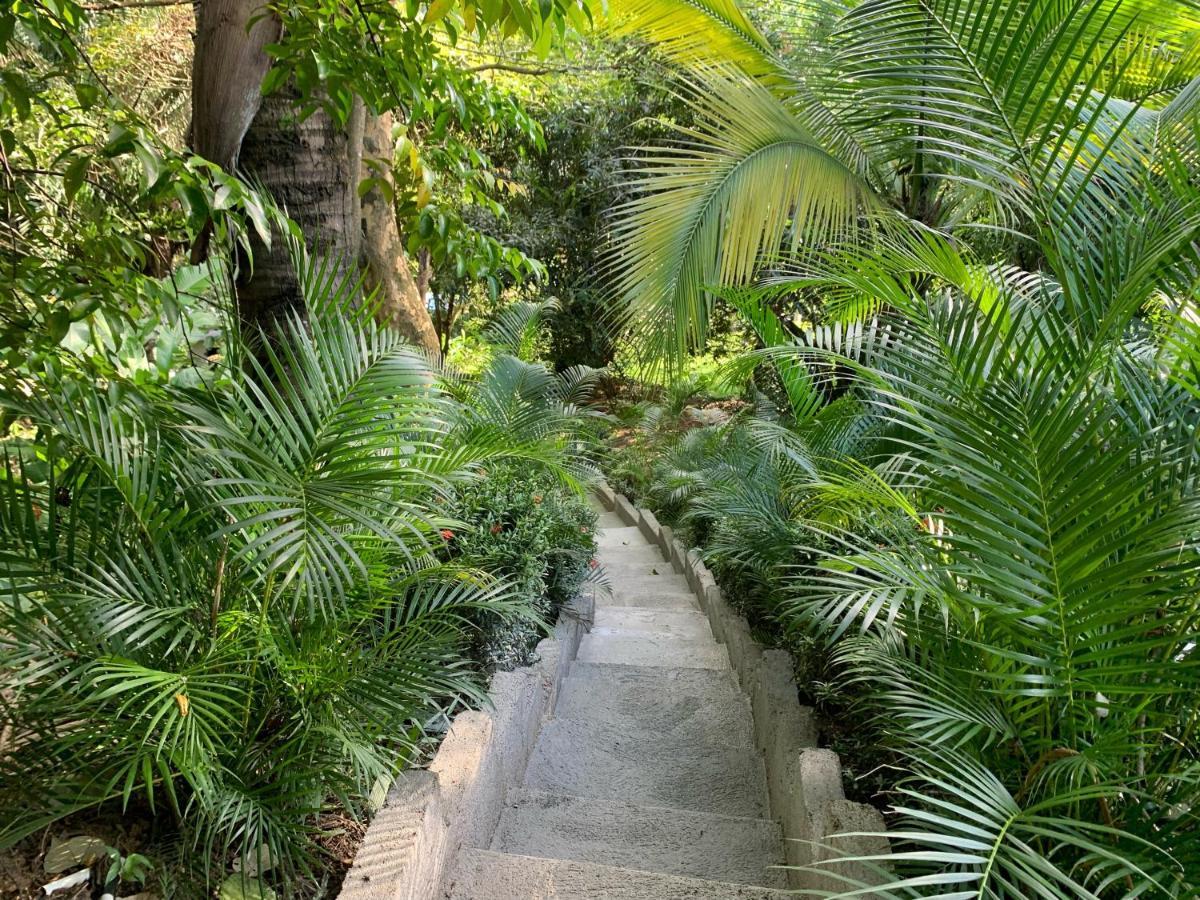 Hotel La Casablanca Tayrona Calabazo  المظهر الخارجي الصورة