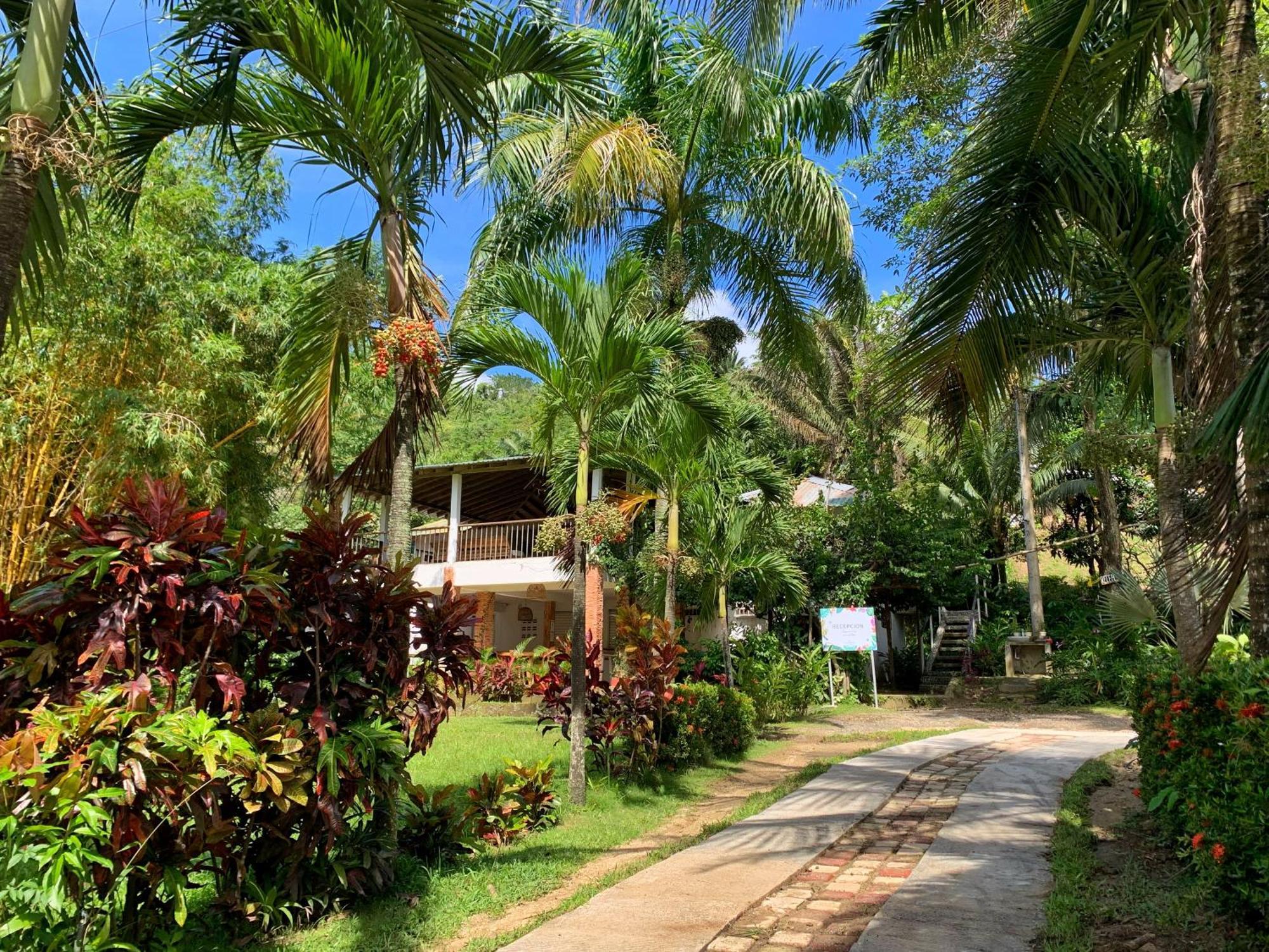 Hotel La Casablanca Tayrona Calabazo  المظهر الخارجي الصورة